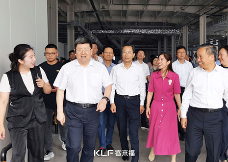 热烈欢迎安徽省淮南市委书记一行调研350vip浦京集团智能家居产业园建设项目